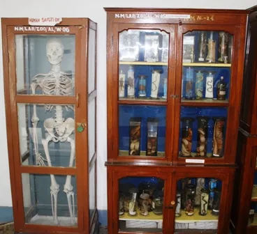 Laboratory